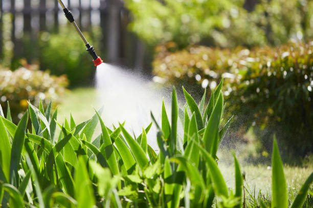 24/7 Emergency Wasp Removal experts in Hagan, GA